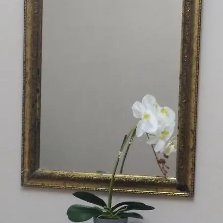 זקינטוס טאון Miriam Luxury Apartment מראה חיצוני תמונה